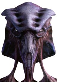 Species8472NL